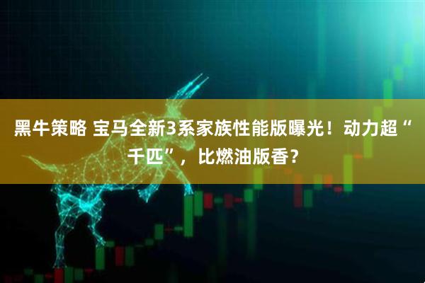 黑牛策略 宝马全新3系家族性能版曝光!动力超“千匹”,比燃油版香?