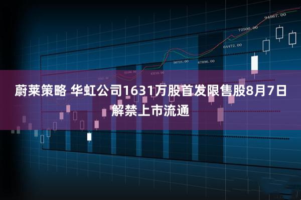 蔚莱策略 华虹公司1631万股首发限售股8月7日解禁上市流通