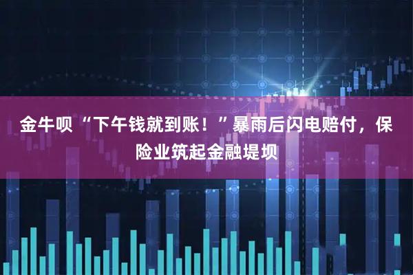 金牛呗 “下午钱就到账！”暴雨后闪电赔付，保险业筑起金融堤坝